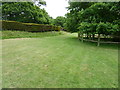 Trim hedge alongside Townings Place