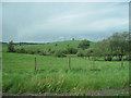 Fields towards Black Cart Water