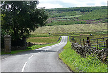 NY7286 : Country road near Falstone (1) by Stephen Richards