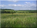 Fields by Dagnall Road Great Gaddesden