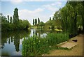 Fishing lake in Gloucester Park