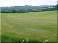 Countryside near Eggardon farm