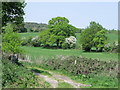 Public footpath at Rackham, West Sussex