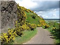 Basalt crag above Menstrie