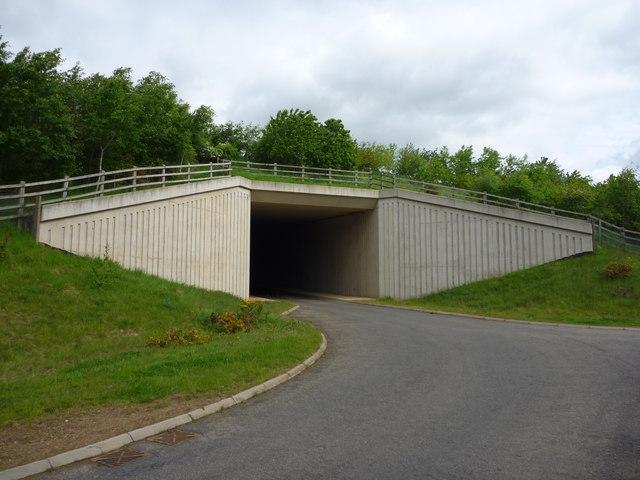 bridge underpass