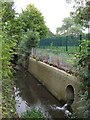 The Quaggy River east of Alice Thompson Close, SE12 (3)