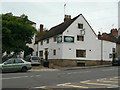 The White Swan