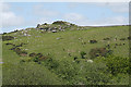 South Brent: Shipley Tor