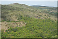 Dartmoor Forest: Sharp Tor