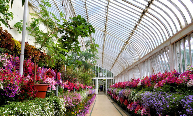 Palm House Interior Belfast 4 C Albert Bridge Cc By Sa 2 0