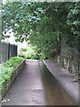 The Quaggy River south of Chinbrook Road, SE12 (3)