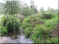 The Quaggy River at the northwest corner of Chinbrook Meadows