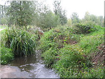 TQ4172 : The Quaggy River at the northwest corner of Chinbrook Meadows by Mike Quinn