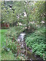 The Quaggy River aka The Chin Brook, Chinbrook Meadows (8)