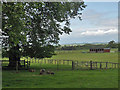 Cricket Ground at Kinlet Hall School