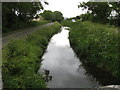 The River Banwell at Waterloo Farm