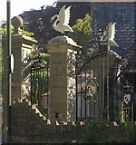 SX9063 : Swans and gateposts, Torre Abbey by Derek Harper