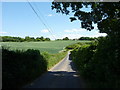 Beginning of lane to Wilgate Green