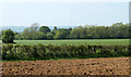 ST6044 : 2011 : Plough and pasture north of Ham Lane by Maurice Pullin