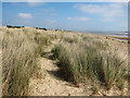 Dunes at Greatstone-On-Sea