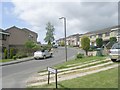 Lichfield Mount - viewed from Greshan Avenue