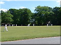 Nomansland: cricket match on the village green