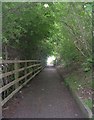 Footpath - Botany Avenue