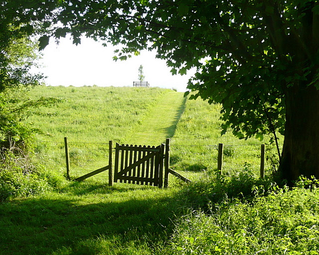 Path into Lichfield Grange