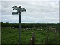 NT5376 : Rural East Lothian : Signpost On Path To Seaton Law by Richard West