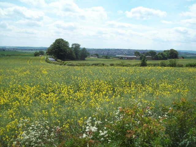 Overlooking Hagge Farm © Jonathan Clitheroe :: Geograph Britain and Ireland