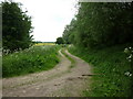 A farm track on North Moor, Isle of Axholme