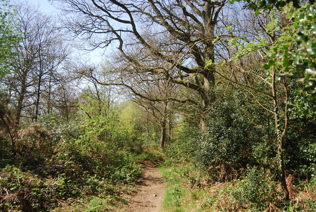 Greensand Way, Limpsfield Common © N Chadwick :: Geograph Britain and ...