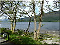 Shoreline near Fin Glen - South Loch Earn