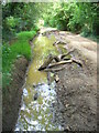 Bridleway North of Medstead