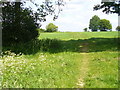 Downland Footpath, Medstead