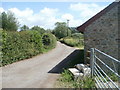 Lane to Lanusk Farm, Llanbadoc