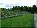 Growing tunnels at Dalchonzie Fruit Farm