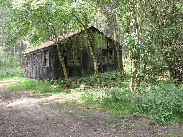 Rusty old shed in Waveney Forest
