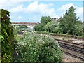 Railway line adjacent to Eastleigh works