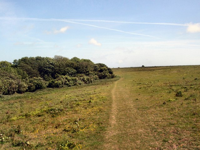 South Downs Way path near Offham Hill