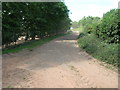 Bridleway towards Gate Farm