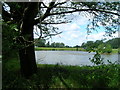 Fishing lake near nature reserve