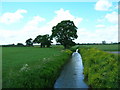 Hatfield Waste Drain looking west