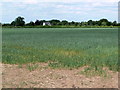 Farmland south of Whetstone