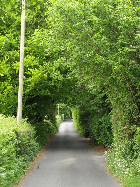 Cook's Bridle Path