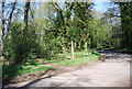 Footpath off Stoneswood Rd