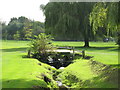 The Quaggy River, Sundridge Park Golf Course (8)