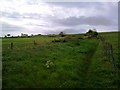 Looking South along the path to Medomsley