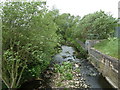 River Rother from the Storforth Lane bridge