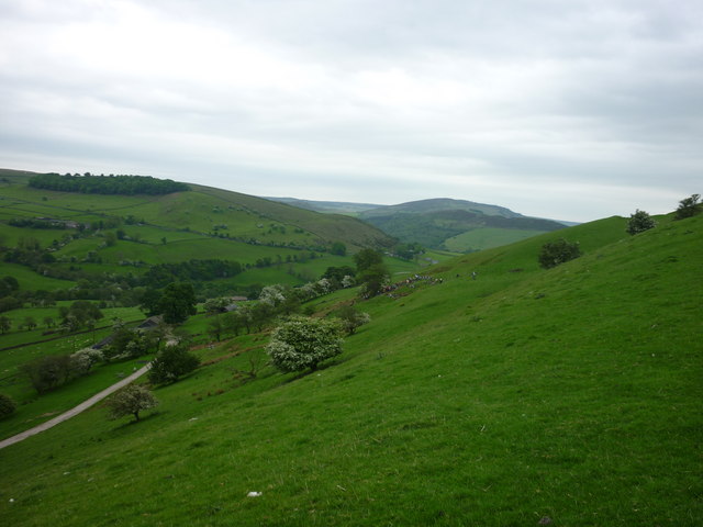 Steep hillside above Hazels